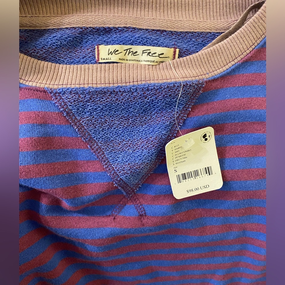 Free People classic striped oversized crewneck